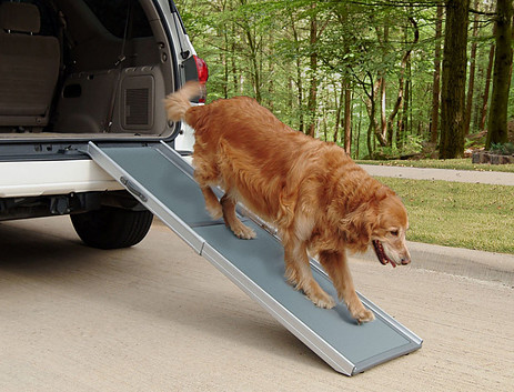 Best Dog Ramps for Vehicles 2023| My Dog Decides